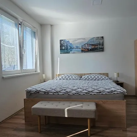 Apartment Rezidence Belehradska *