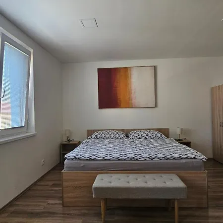 Rezidence Belehradska Apartment
